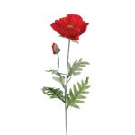 ВЕШ.ГРАНКА ПОППИ ЦРВЕНА-24*16*73цм110349 - Image 2