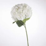 ВЕШ ГРАНКА ХОРТЕНЗИЈА 37х29х81 130813 - Image 9