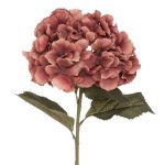 ВЕШ ГРАНКА ХОРТЕНЗИЈА 37х29х81 130813 - Image 10