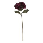 ВЕШ ГРАНКА ХОРТЕНЗИЈА 37х29х81 130813 - Image 11