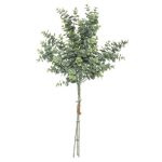 ВЕШ.ГРАНКИ 3/1 ЕУКАЛИПТУС Х-64цм-179274 - Image 2