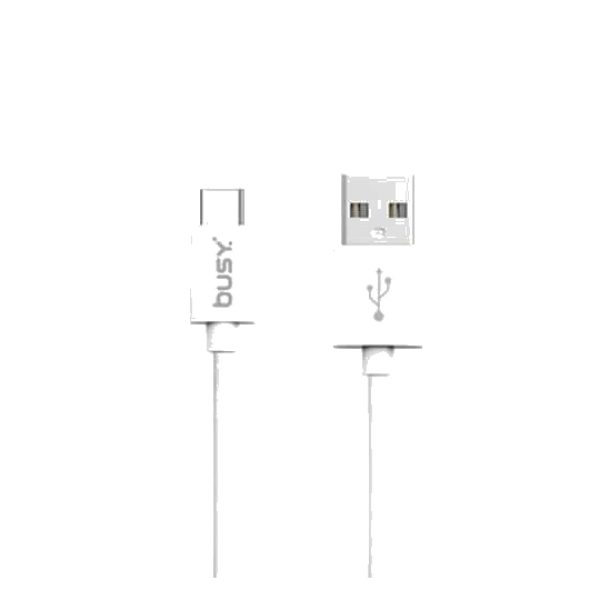 Busy® Type-C USB PVC Cable 1m Charging 2A SYNC Speed to 480Mbps- 50696
